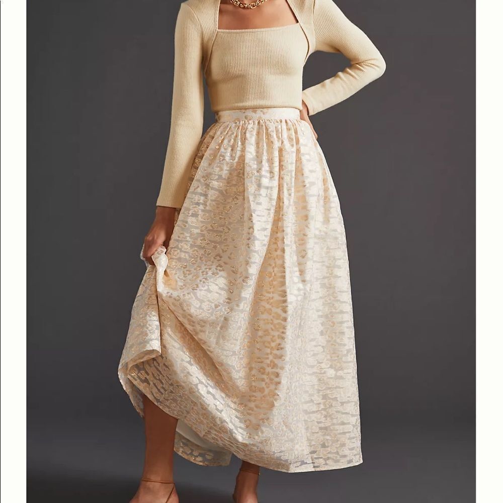 NWT Anthropologie Pankaj & Nidhi Burnout Shimmer Maxi Skirt Small #142